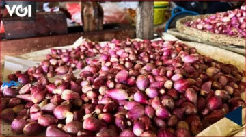 سعر الغذاء.. ارتفاع ملحوظ في سعر الفلفل الحار في جاكرتا اليوم